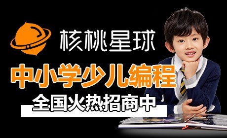 核桃星球少兒編程